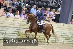 23R13_02748 thumbnail