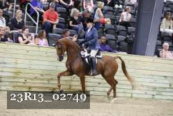 23R13_02749 thumbnail