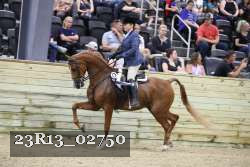 23R13_02750 thumbnail