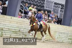 23R13_02751 thumbnail