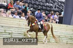 23R13_02752 thumbnail