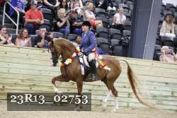23R13_02753 thumbnail