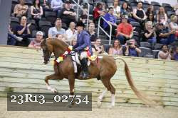 23R13_02754 thumbnail