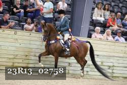 23R13_02758 thumbnail