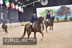 23R13_02772 thumbnail