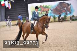 23R13_02773 thumbnail