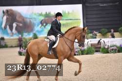 23R13_02774 thumbnail