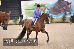 23R13_02776 thumbnail