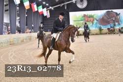 23R13_02778 thumbnail