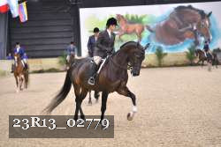 23R13_02779 thumbnail