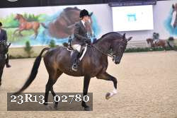 23R13_02780 thumbnail