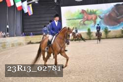 23R13_02781 thumbnail