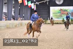 23R13_02782 thumbnail