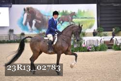 23R13_02783 thumbnail