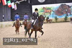 23R13_02784 thumbnail