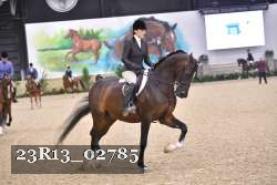 23R13_02785 thumbnail