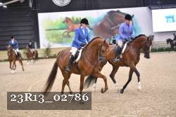 23R13_02786 thumbnail