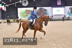23R13_02787 thumbnail