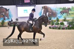 23R13_02788 thumbnail