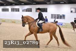 23R13_02789 thumbnail
