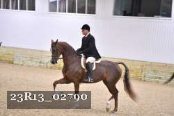 23R13_02790 thumbnail