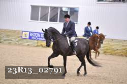 23R13_02791 thumbnail
