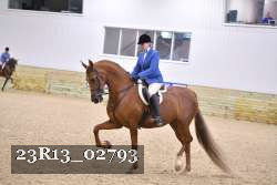 23R13_02793 thumbnail