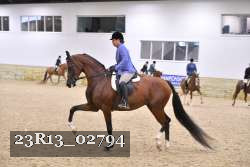 23R13_02794 thumbnail