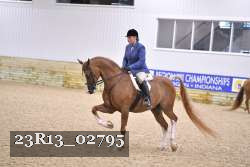 23R13_02795 thumbnail