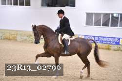23R13_02796 thumbnail