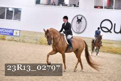 23R13_02797 thumbnail
