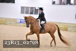 23R13_02798 thumbnail