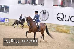 23R13_02799 thumbnail