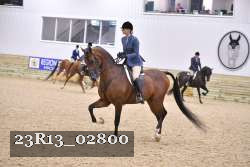 23R13_02800 thumbnail