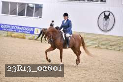 23R13_02801 thumbnail