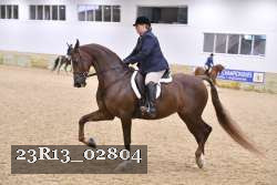23R13_02804 thumbnail