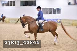 23R13_02806 thumbnail