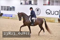 23R13_02811 thumbnail