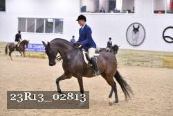 23R13_02813 thumbnail