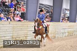 23R13_02823 thumbnail