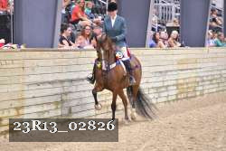 23R13_02826 thumbnail
