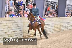 23R13_02827 thumbnail