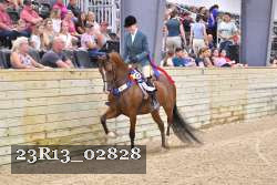 23R13_02828 thumbnail