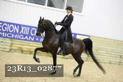 23R13_02877 thumbnail