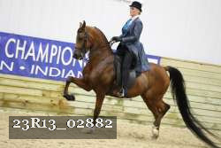 23R13_02882 thumbnail