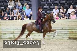 23R13_02903 thumbnail