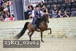 23R13_02904 thumbnail