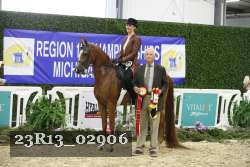 23R13_02906 thumbnail