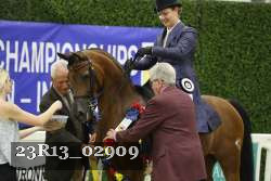 23R13_02909 thumbnail