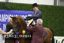 23R13_02911 thumbnail